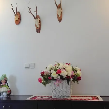 住宿加早餐酒店 Chalet Belvedere 卢布尔雅那